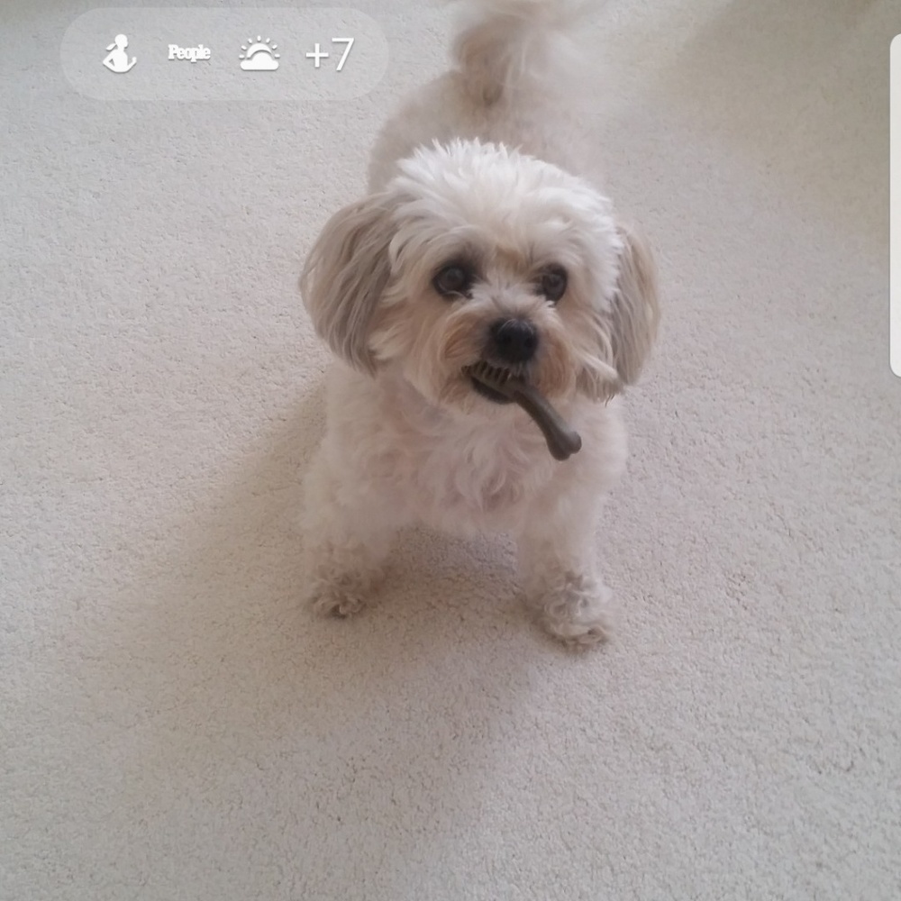 Meet your Posher, Chris